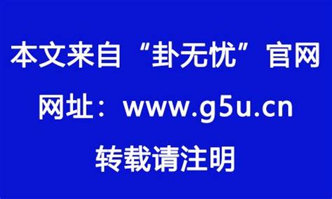 1982屬|1982年属什么生肖的命 1982年属狗是什么命